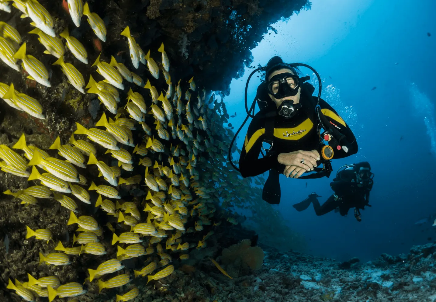 Imagen de Buceo en las Maldivas